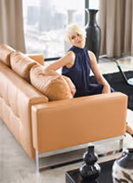 contemporary sofa and lounge furnishings