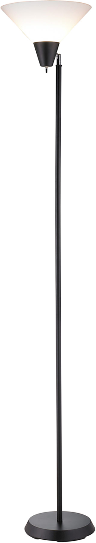 Name:Swivel Floor Lamp, Item id:1010_3677-01 (Medium Image)