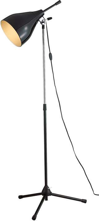 Name:Cinema Floor Lamp, Item id:1010_6099-01 (Medium Image)