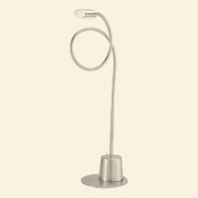 Eternity Extended Gooseneck Lamp