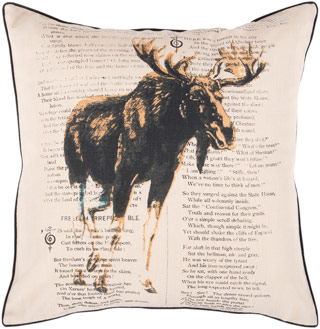 Name:Decorative Design HH119 Throw Pillow, Item id:1510_hh119 (Medium Image)