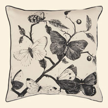 Decorative Design HH122 Throw Pillow Thumbnail Image