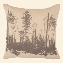 Decorative Design ST046 Throw Pillow Thumbnail Image