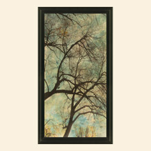 Wall Art AB166A Thumbnail Image