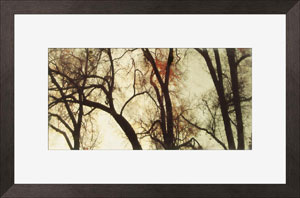 Name:Wall Art AB173A, Item id:1510a_AB173A (Medium Image)