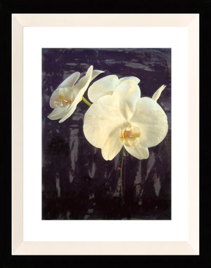 Name:Wall Art AB181A, Item id:1510a_AB181A (Medium Image)