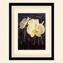 Wall Art AB181A Thumbnail Image