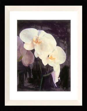 Name:Wall Art AB182A, Item id:1510a_AB182A (Medium Image)