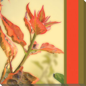 Name:Wall Art AB204A, Item id:1510a_AB204A (Medium Image)