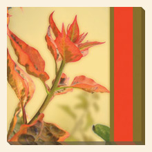 Wall Art AB204A Thumbnail Image