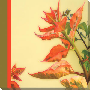 Name:Wall Art AB205A, Item id:1510a_AB205A (Medium Image)
