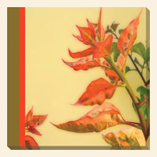 Wall Art AB205A Thumbnail Image