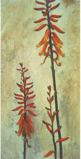Name:Wall Art AB168A, Item id:1510a_AB168A (Medium Image)