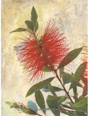 Name:Wall Art AB177A, Item id:1510a_AB177A (Medium Image)