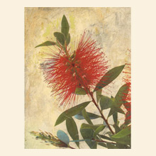 Wall Art AB177A Thumbnail Image
