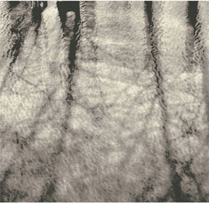Name:Wall Art AB191A, Item id:1510a_AB191A (Medium Image)