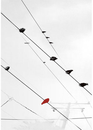 Name:Wall Art AB195A, Item id:1510a_AB195A (Medium Image)