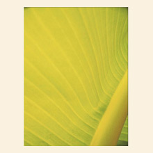 Wall Art AB202A Thumbnail Image