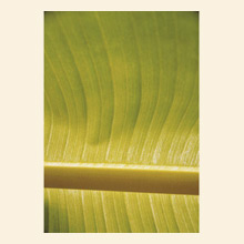 Wall Art AB203A Thumbnail Image