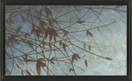 Nature's Whisper, Jacobs, Sean