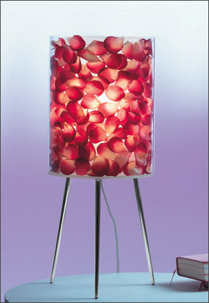 Name:Jackie Table Lamp, Item id:52_jackie (Medium Image)