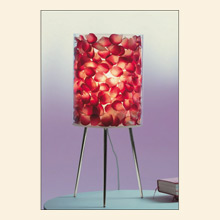Jackie Table Lamp Thumbnail Image