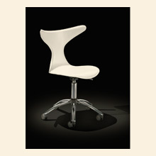Dolphin Office Chair
