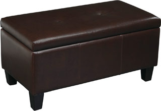 Name:Detour Storage Bench Espresso Eco Leather, Item id:8810_DTR2036-EBD (Medium Image)