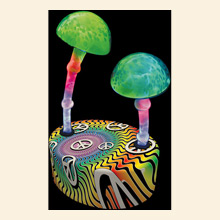 Groovy 'Shrooms Electra Multi Thumbnail Image