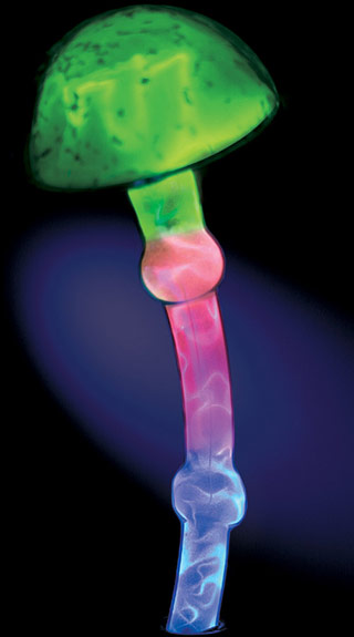 Name:Single Mushroom Electra Lamp Blue, Item id:9110_MHSMB (Medium Image)
