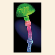 Single Mushroom Electra Lamp Blue Thumbnail Image