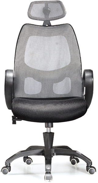 Name:Executive Office Chair Silver, Item id:9110_OFCEXECSV (Medium Image)