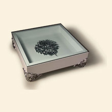 Emma - White Lacquer Modern Coffee Table Thumbnail Image