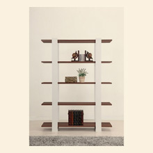 Contemporary Bookcase Thumbnail Image