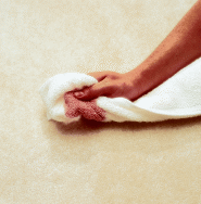 stain removal