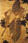 hellenic hand knotted area rugs
