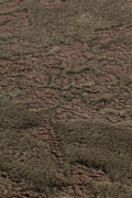 Casta CAS-7000 Rug