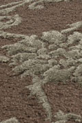 Casta CAS-7001 Rug