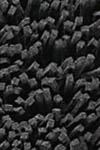 Square Black Shag Rug