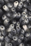 Gray and Black Shag Rug