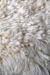 White Shag Rug