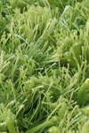 Large Lime Green Shag Area Rug