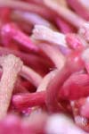 Multi Pink Shag Rug