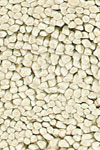 Felted Ivory White Shag Rug