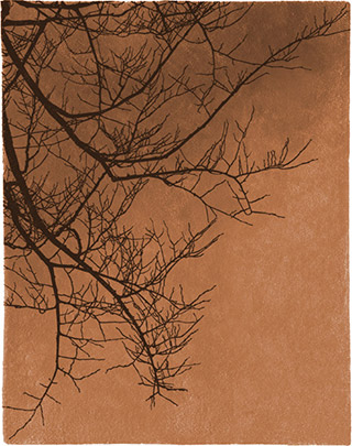 Name:Rueoberkampf Ro101 Rug, Item id:0710_rueoberkampf-ro101 (Medium Image)