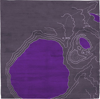 Name:Topo To101 Rug, Item id:0710_topo-to101 (Medium Image)