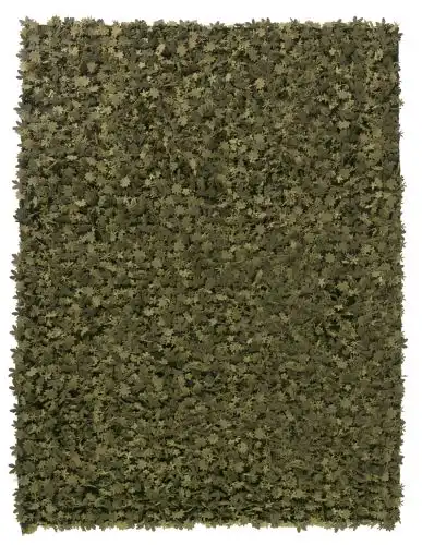 Nanimarquina Green Shag Rug Product Image