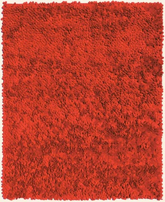 Name:Roses Orange Shag Rug, Item id:11_roses_orange (Medium Image)