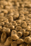 Rasta Brown Shag Rug Thumbnail Image