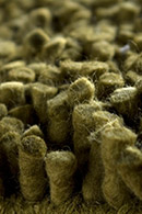 Rasta Green Shag Rug Thumbnail Image